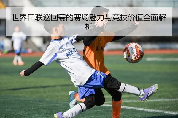 世界田联巡回赛的赛场魅力与竞技价值全面解析